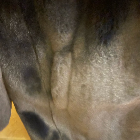 sandro fur coat - Picture 5 of 10